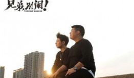 兄弟别闹电影在线观看,一场爆笑的兄弟情谊之旅