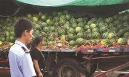 福山网红吃瓜事件真相视频,揭秘真相背后的惊人内幕